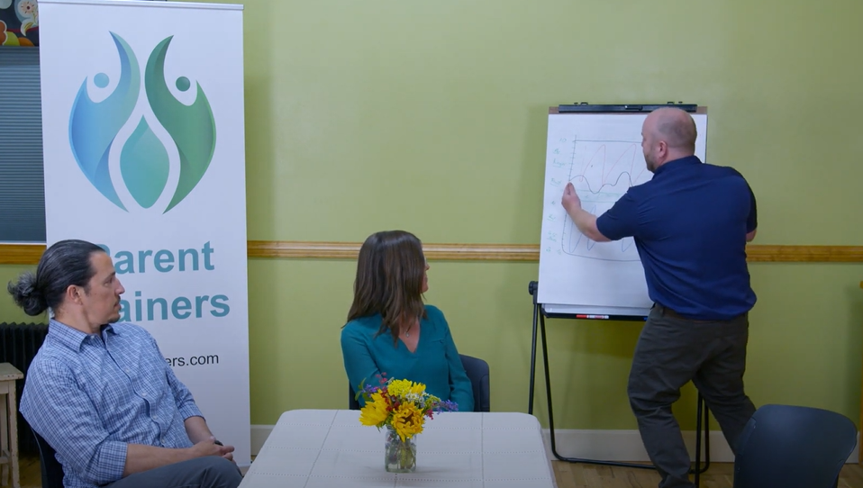 Parent Trainers - Training